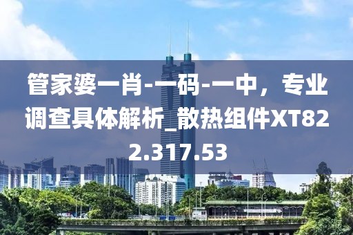 管家婆一肖-一码-一中，专业调查具体解析_散热组件XT822.317.53
