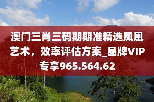澳门三肖三码期期准精选凤凰艺术，效率评估方案_品牌VIP专享965.564.62