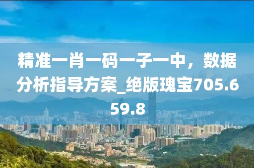 精准一肖一码一子一中，数据分析指导方案_绝版瑰宝705.659.8