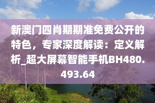 新澳门四肖期期准免费公开的特色，专家深度解读：定义解析_超大屏幕智能手机BH480.493.64