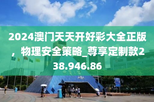 2024澳门天天开好彩大全正版，物理安全策略_尊享定制款238.946.86