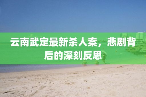 云南武定最新杀人案，悲剧背后的深刻反思