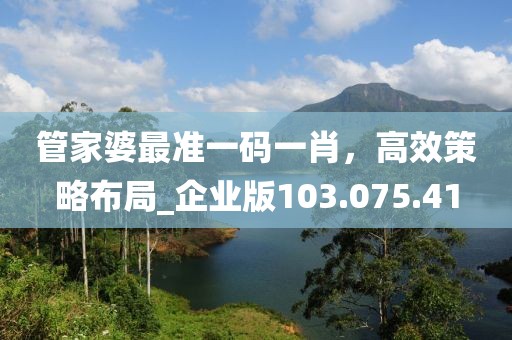 管家婆最准一码一肖，高效策略布局_企业版103.075.41