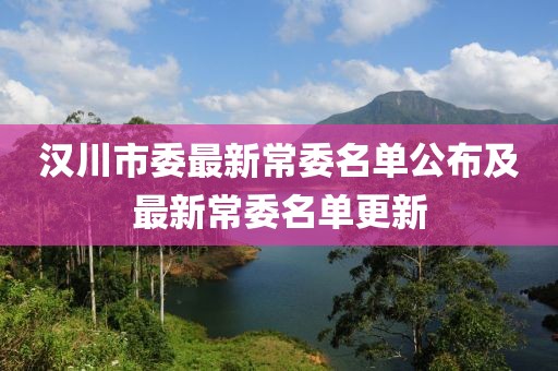 汉川市委最新常委名单公布及最新常委名单更新
