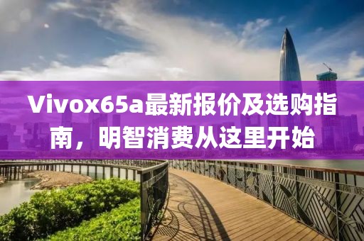 Vivox65a最新报价及选购指南，明智消费从这里开始