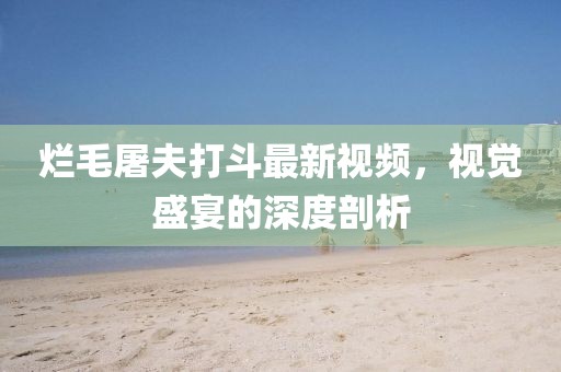 烂毛屠夫打斗最新视频，视觉盛宴的深度剖析