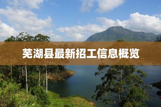 芜湖县最新招工信息概览