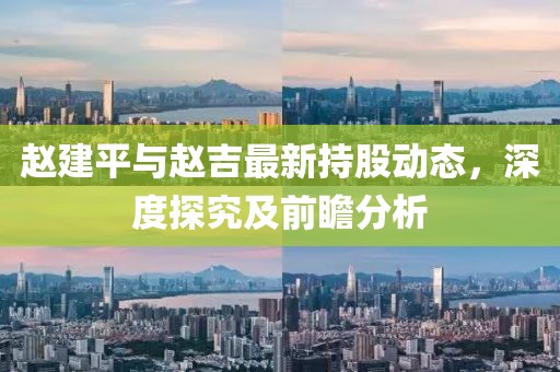 赵建平与赵吉最新持股动态，深度探究及前瞻分析