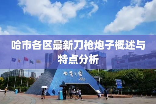 哈市各区最新刀枪炮子概述与特点分析