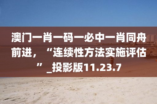 澳门一肖一码一必中一肖同舟前进，“连续性方法实施评估”_投影版11.23.7