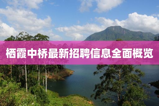 栖霞中桥最新招聘信息全面概览
