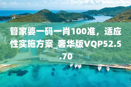 管家婆一码一肖100准，适应性实施方案_奢华版VQP52.5.70