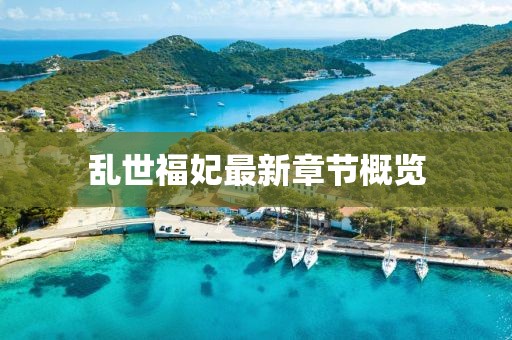 乱世福妃最新章节概览