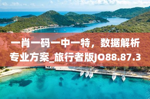 一肖一码一中一特，数据解析专业方案_旅行者版JO88.87.3