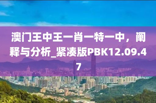 澳门王中王一肖一特一中，阐释与分析_紧凑版PBK12.09.47