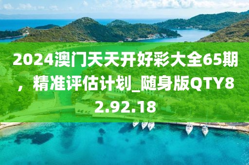 2024澳门天天开好彩大全65期，精准评估计划_随身版QTY82.92.18