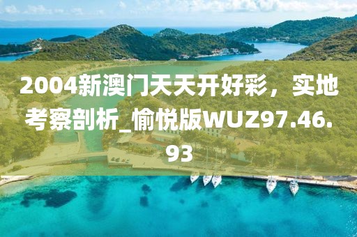 2004新澳门天天开好彩，实地考察剖析_愉悦版WUZ97.46.93
