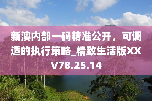 新澳内部一码精准公开，可调适的执行策略_精致生活版XXV78.25.14