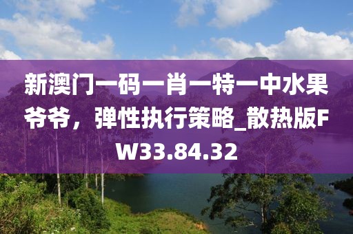 新澳门一码一肖一特一中水果爷爷，弹性执行策略_散热版FW33.84.32