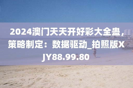 2024澳门天天开好彩大全蛊，策略制定：数据驱动_拍照版XJY88.99.80