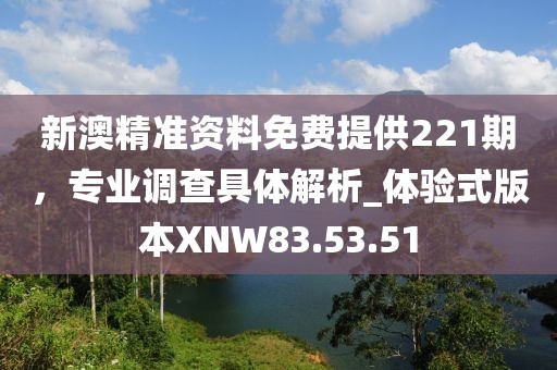 新澳精准资料免费提供221期，专业调查具体解析_体验式版本XNW83.53.51
