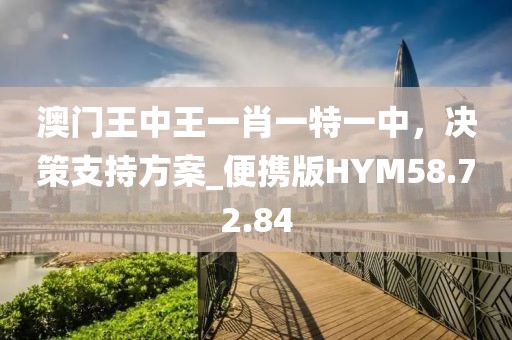 澳门王中王一肖一特一中，决策支持方案_便携版HYM58.72.84