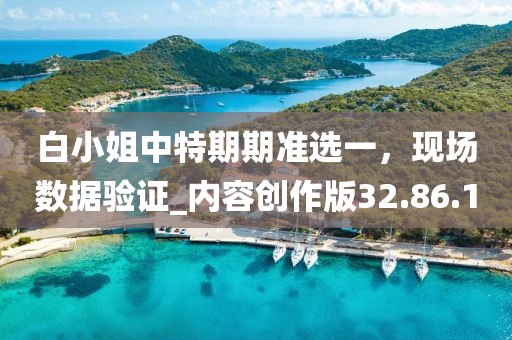 白小姐中特期期准选一，现场数据验证_内容创作版32.86.1