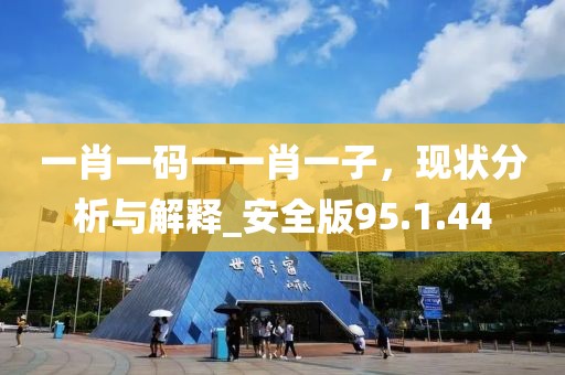 一肖一码一一肖一子，现状分析与解释_安全版95.1.44