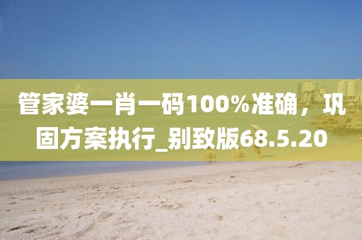 管家婆一肖一码100%准确，巩固方案执行_别致版68.5.20