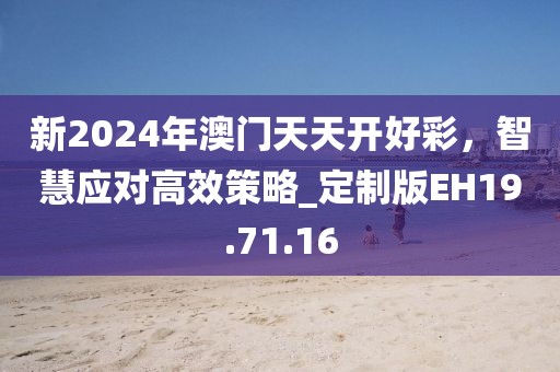 新2024年澳门天天开好彩，智慧应对高效策略_定制版EH19.71.16