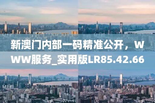 新澳门内部一码精准公开，WWW服务_实用版LR85.42.66