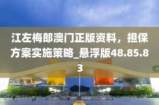 江左梅郎澳门正版资料，担保方案实施策略_悬浮版48.85.83