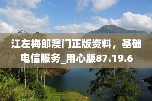 江左梅郎澳门正版资料，基础电信服务_用心版87.19.6
