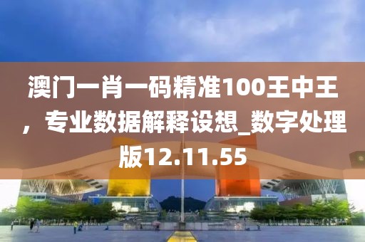 澳门一肖一码精准100王中王，专业数据解释设想_数字处理版12.11.55