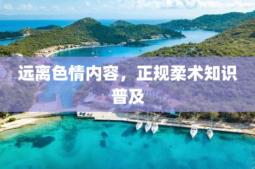 远离色情内容，正规柔术知识普及