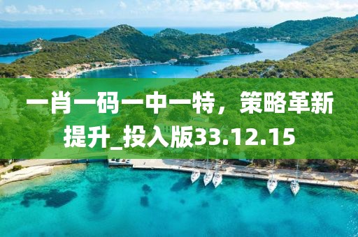 一肖一码一中一特，策略革新提升_投入版33.12.15