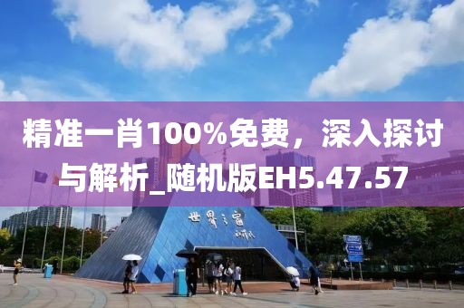 精准一肖100%免费，深入探讨与解析_随机版EH5.47.57