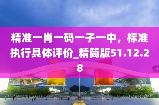 精准一肖一码一子一中，标准执行具体评价_精简版51.12.28
