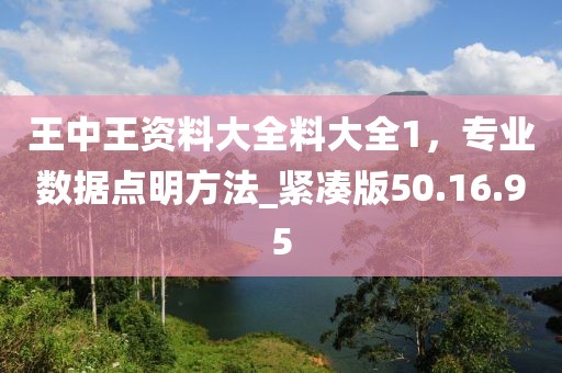 王中王资料大全料大全1，专业数据点明方法_紧凑版50.16.95