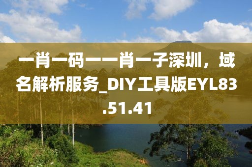 一肖一码一一肖一子深圳，域名解析服务_DIY工具版EYL83.51.41