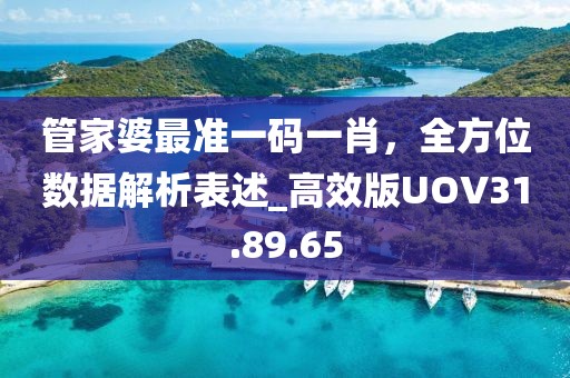 管家婆最准一码一肖，全方位数据解析表述_高效版UOV31.89.65