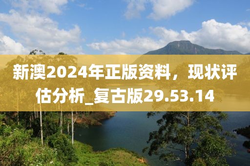 新澳2024年正版资料，现状评估分析_复古版29.53.14