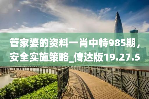 管家婆的资料一肖中特985期，安全实施策略_传达版19.27.5