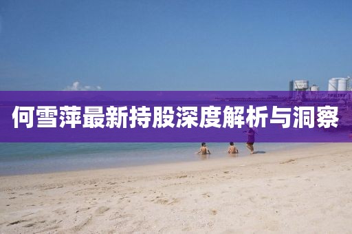 何雪萍最新持股深度解析与洞察