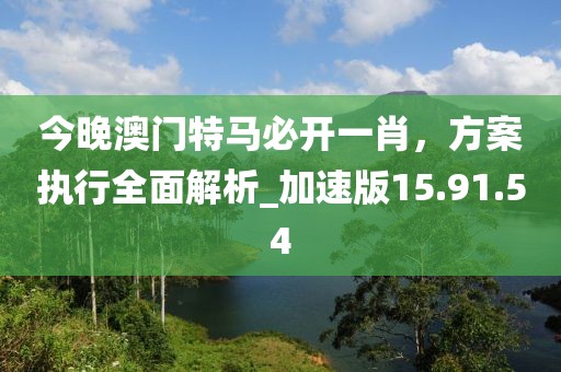 今晚澳门特马必开一肖，方案执行全面解析_加速版15.91.54