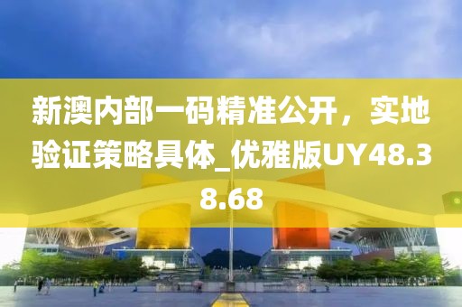 新澳内部一码精准公开，实地验证策略具体_优雅版UY48.38.68