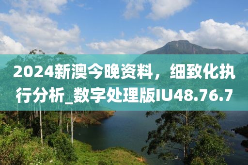 2024新澳今晚资料，细致化执行分析_数字处理版IU48.76.70