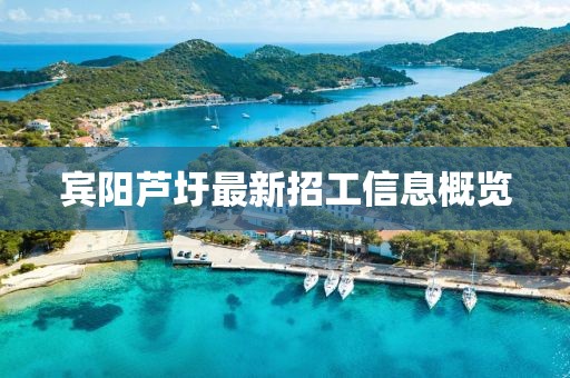 宾阳芦圩最新招工信息概览