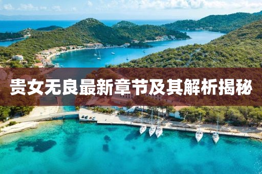 贵女无良最新章节及其解析揭秘