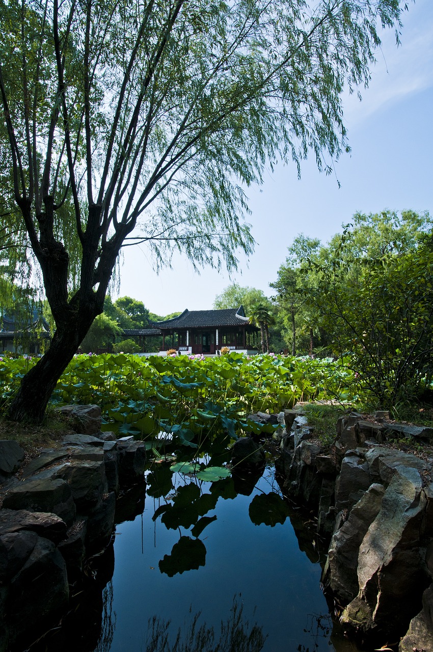 地球另一端的梦 第32页